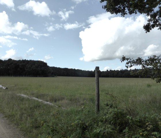 Wide green meadow in the Southern Eifel Nature Park, surrounded by forest. A post stands in the foreground, the sky is blue with white clouds., &copy; Elke Wagner, Felsenland S&uuml;deifel Tourismus GmbH