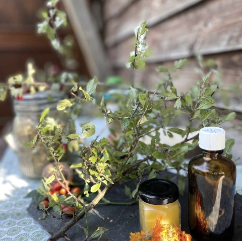 Outdoorapotheke, &copy; Felsenland S&uuml;deifel Tourismus GmbH