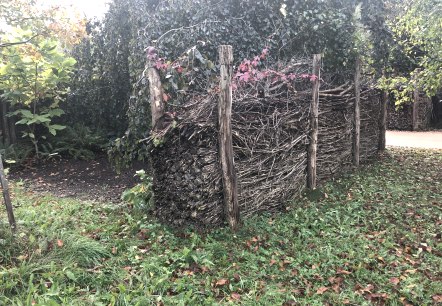 Benjeshecke, © Eva Hofmann