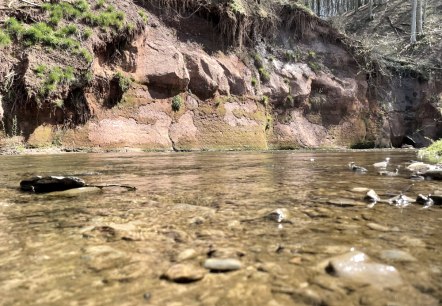 Roter Puhl Premiumwanderweg Schluchtenpfad, &copy; Naturpark S&uuml;deifel/Ansgar Dondelinger