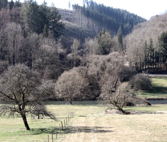 Ourtal on the hiking trail near Dasburg, © Tourist-Information Islek