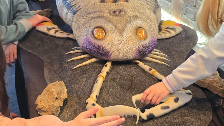 Eine große, kunstvolle Nachbildung eines prähistorischen Fisches liegt auf einem Tisch. Kinder berühren das Modell und erkunden seine Details.