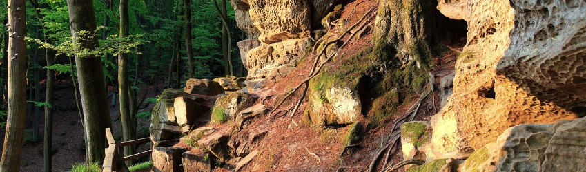 Felsenweg 6 im NaturWanderPark delux, &copy; NP S&uuml;deifel ZV / Charly Schleder