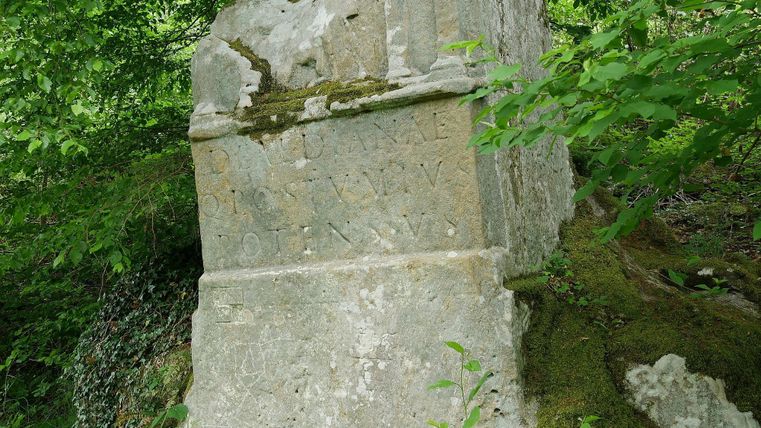 Ein alter Steinsockel, überwachsen von Pflanzen und Moos. Die Inschrift ist teilweise verwittert und schwer lesbar.