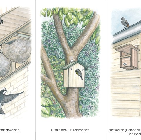 Gartenkultur-Eifel Nisthilfen, &copy; Naturpark S&uuml;deifel/Sabine Dubb