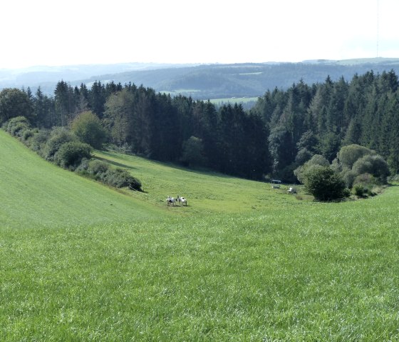 Weite Landschaft und Ausblick nach Luxemburg, &copy; Tourist-Information Islek