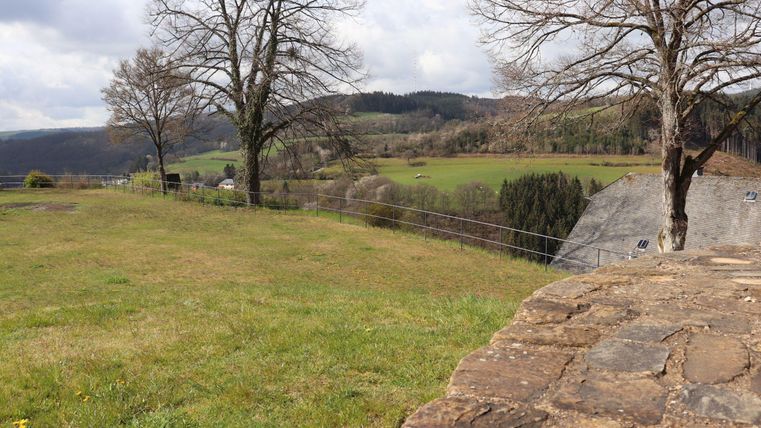 Eine grüne Wiese mit einigen Bäumen und einer sanften Landschaft im Hintergrund. Der Himmel ist bewölkt und es ist eine ruhige und friedliche Atmosphäre.