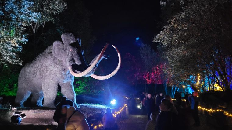 Eine beeindruckende Mammut-Skulptur steht im Mittelpunkt des Bildes, umgeben von festlicher Beleuchtung und Menschen. Die Szenerie ist nachts mit bunten Lichtern angestrahlt, was eine magische Atmosphäre schafft.