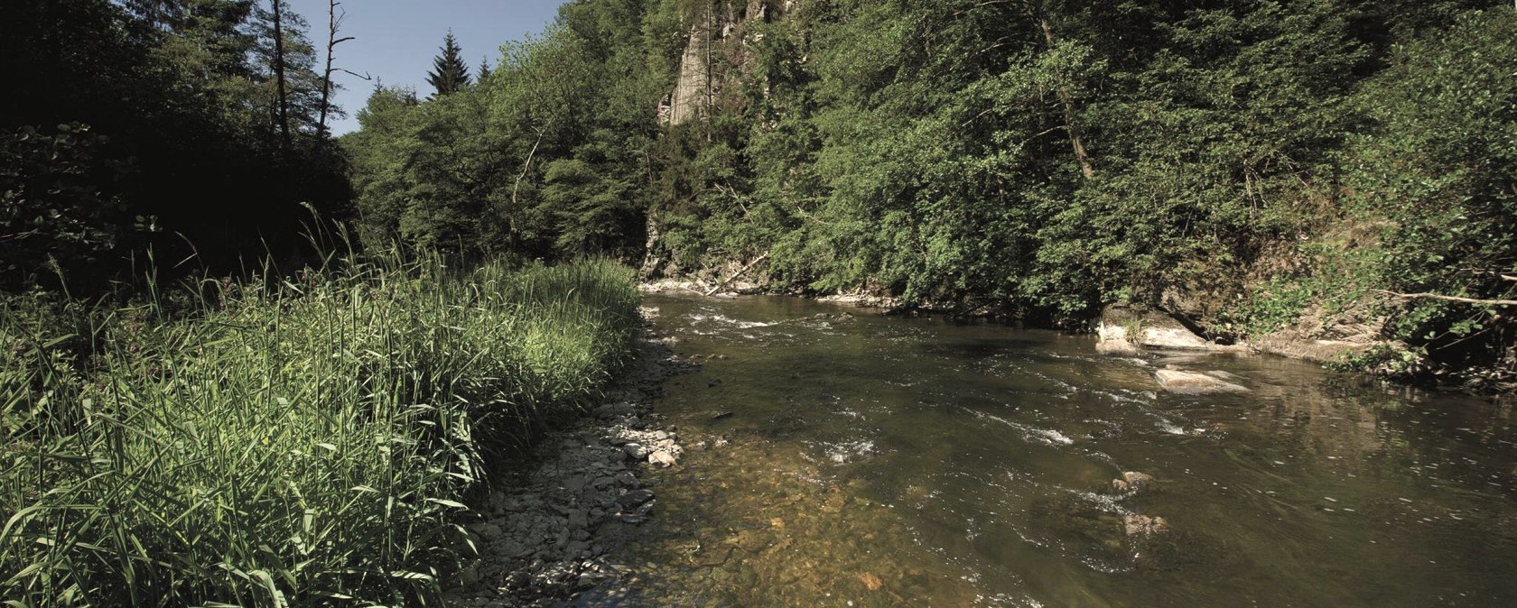 die Our im Sonnenschein, &copy; ZV Naturpark S&uuml;deifel, Raymond Clement