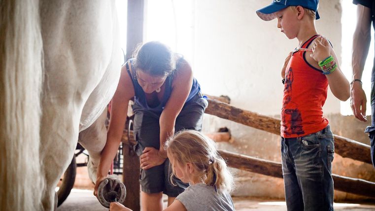 Een vrouw laat kinderen zien hoe ze voor een paard moet zorgen. De kinderen zijn nieuwsgierig en leren actief.
