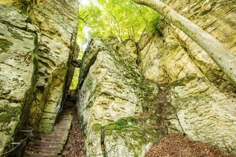 Ein schmaler Pfad führt durch hohe Felsen, umgeben von üppigem Grün. Sonnenlicht fällt durch die Blätter und schafft eine ruhige Atmosphäre.