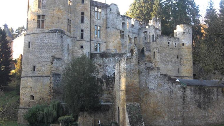 Une vieille ruine de château avec de hauts murs et de nombreuses fenêtres. Entourée d'arbres et d'une prairie verte.