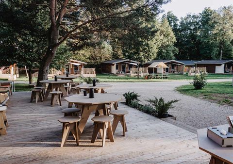 Eine gemütliche Terrasse mit Holztischen und Stühlen, umgeben von Bäumen. Im Hintergrund sind mehrere kleine Holz-Hütten sichtbar.