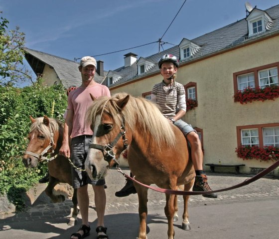 Mayischhof Pferde, © Andreas u. Andrea Hermes