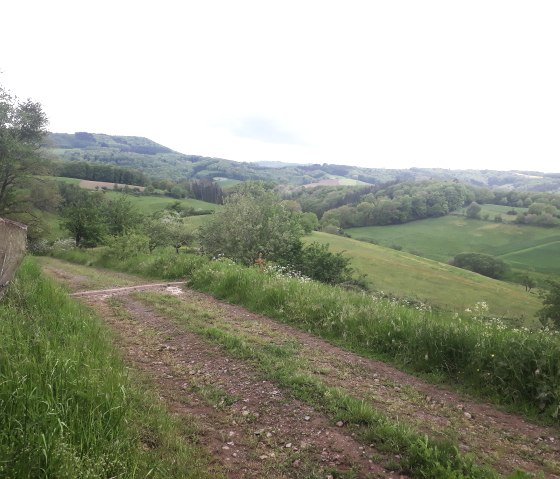 Sweeping views across to Luxembourg, © Felsenland Südeifel Tourismus, Natalie Mainz