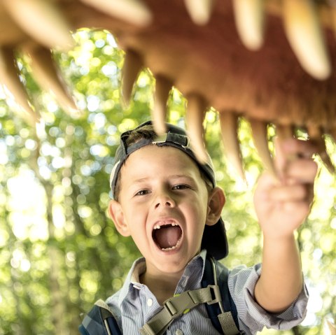 dinopark-devil-gorge-teeth-dominik-ketz