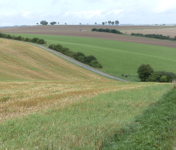 Felder bei Dasburg, © Tourist-Information Islek