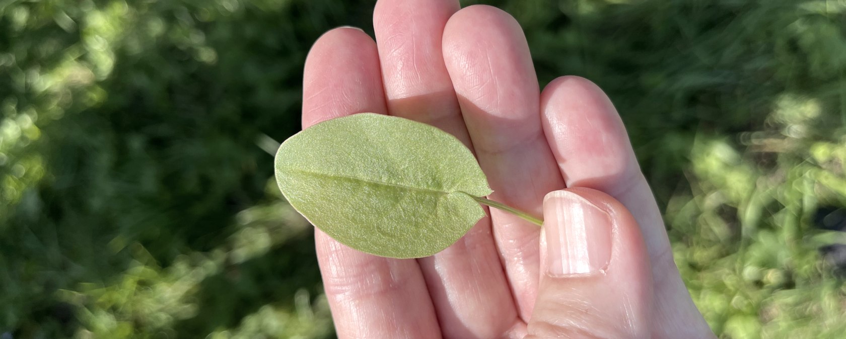 Fit in den Fr&uuml;hling, &copy; TI Bitburger Land