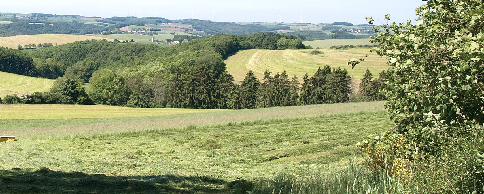 Eifel heights, © V. Teuschler