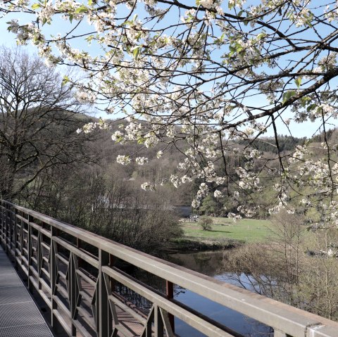 Prüm-Radweg, © Tourist-Information Islek