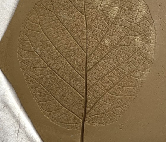 Töpfern Herbst, © Nadine Häfner