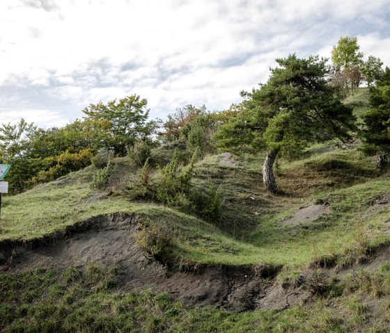 Grüne Hügellandschaft im Naturschutzgebiet Scharren bei Dockendorf mit Bäumen und einem Naturschutzgebietsschild unter bewölktem Himmel., © Tourist-Info Bitburger Land