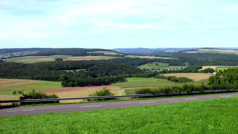 Un paysage vaste avec des collines douces et des champs verts. Le ciel est dégagé et bleu, idéal pour une vue.
