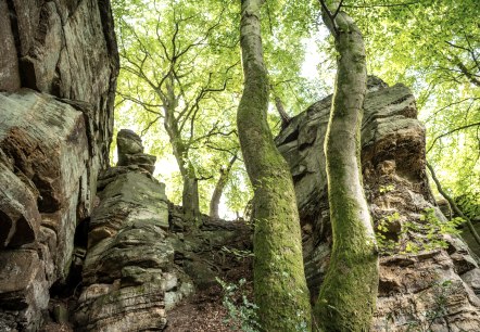 Felsen bei der Mandrack Passage im NaturWanderPark delux, &copy; Eifel Tourismus GmbH, D. Ketz