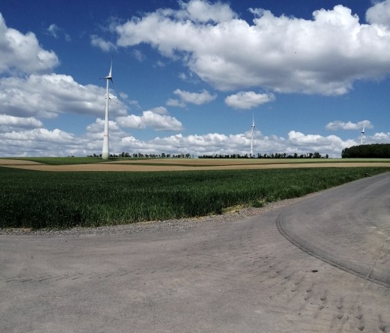 Wide view over the fields between the villages, © Felsenland Südeifel Tourismus, Antje Ackermann