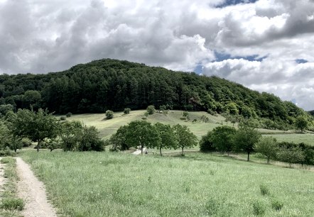 Weg Römische Villa Holsthum, © Naturpark Südeifel/Ansgar Dondelinger