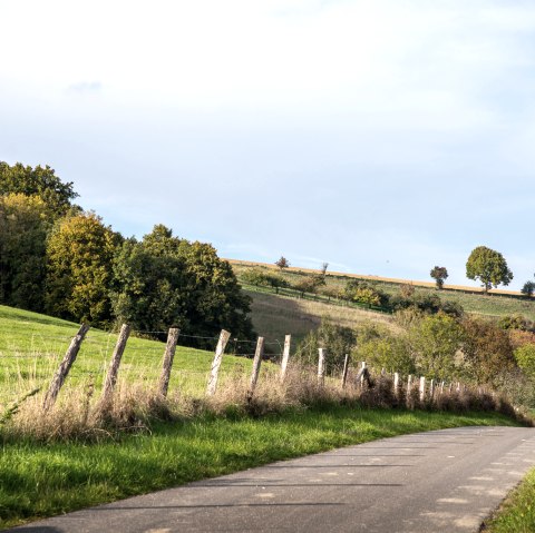 Unterwegs auf dem Bitburger LandGang "kleine Abendrunde" in Oberweis, &copy; TI Bitburger Land