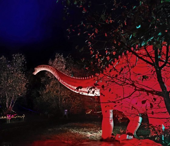 Urzeitriese: Diplodocus, © Dinosaurierpark Teufelsschlucht, Foto Elke Wagner