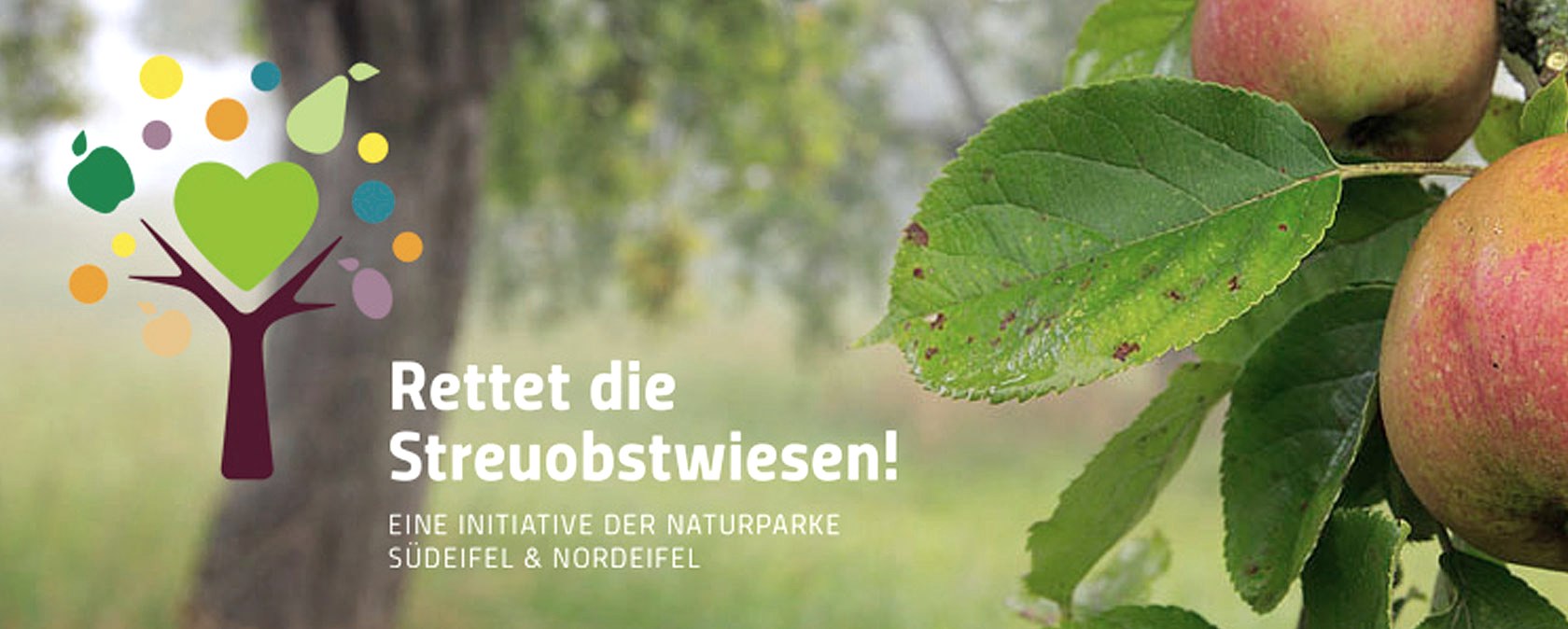 Streuobstwiese, &copy; NP S&uuml;deifel ZV