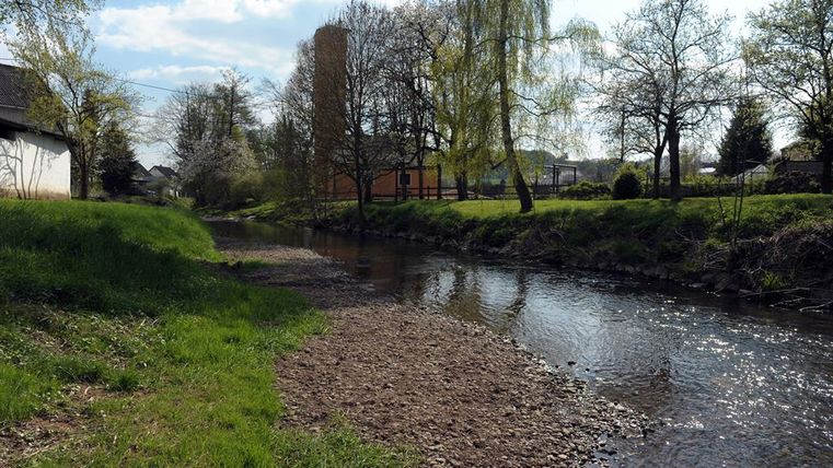 Ein ruhiger Fluss fließt entlang einer grünen Wiese. Im Hintergrund sind Bäume und Häuser zu sehen, unter einem klaren Himmel.