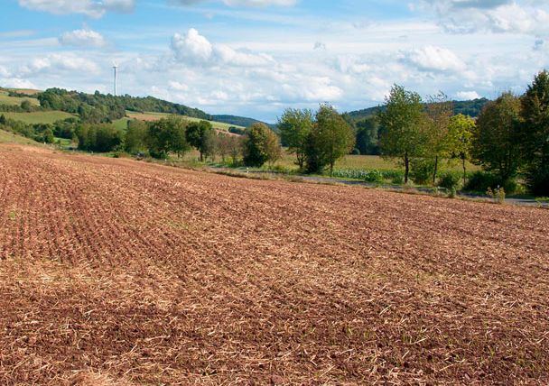 Landschaft im Enztal mit braunem Feld, Bäumen und Windrad im Hintergrund.