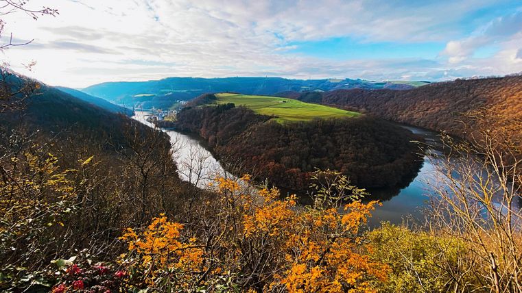 Eine malerische Landschaft mit einem Fluss, der sich durch sanfte Hügel schlängelt. Der Himmel ist teils bewölkt, und im Vordergrund sind herbstliche Pflanzen zu sehen.