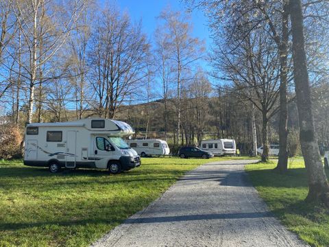 Ein Campingplatz mit Wohnmobilen in einer grünen Umgebung. Die Bäume im Hintergrund und der klare Himmel schaffen eine einladende Atmosphäre.
