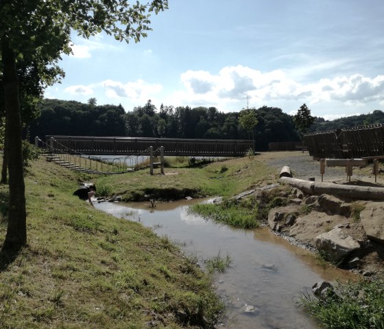 Ein kleiner Bach fließt durch eine grüne Landschaft. Eine Holzbrücke und Bänke sind im Hintergrund zu sehen. Eine Person kniet am Ufer., © Tourist-Information Bitburger Land