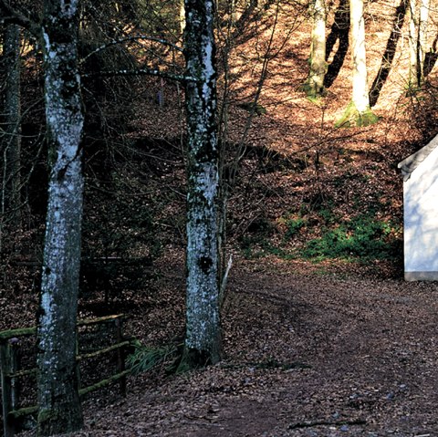 Weiße Kapelle im Wald, umgeben von Bäumen und Herbstlaub. Der Eingang ist aus Holz, die Umgebung wirkt ruhig und abgeschieden., © TI Bitburger Land