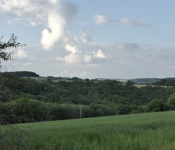 Grüne Felder und Wälder erstrecken sich bis zum Horizont, wo Windräder stehen. Der Himmel ist blau mit weißen Wolken., © Elke Wagner, Felsenland Südeifel Tourismus GmbH