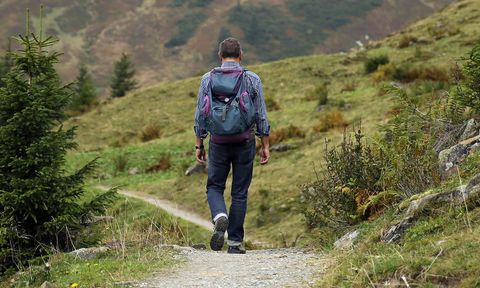Ein Wanderer geht auf einem schmalen Pfad durch eine grüne Landschaft. Im Hintergrund sind Berge und Bäume zu sehen.