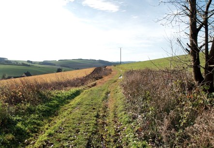Nach dem Regen, &copy; Volker Teuschler
