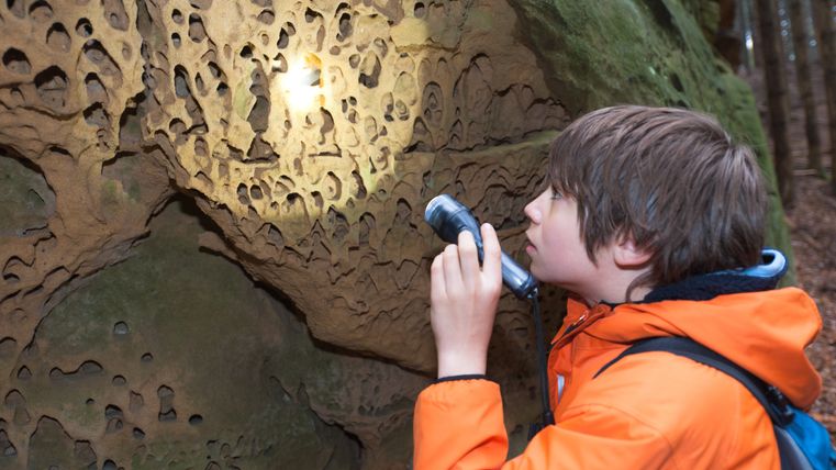 Ein Jugendlicher in orangefarbener Jacke untersucht mit einer Taschenlampe die wabenartige Verwitterung eines Felsens im Wald.
