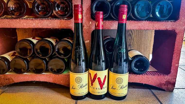 Drie flessen wijn staan voor een rek met nog meer wijnflessen. De etiketten van de flessen zijn kleurrijk en aantrekkelijk ontworpen.