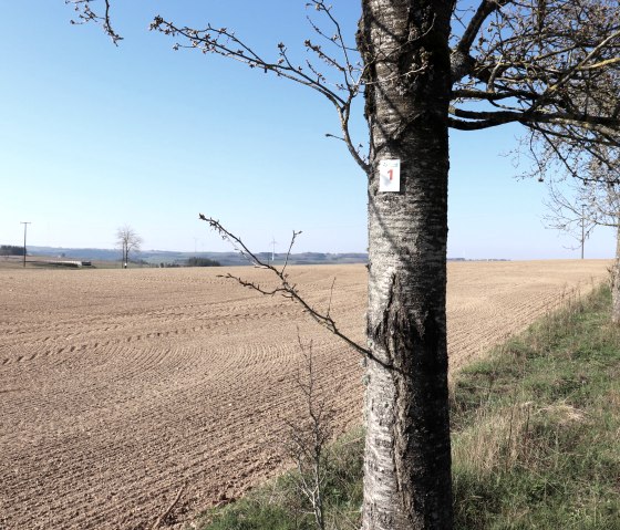 Hiking trail 1, &copy; Tourist-Info Islek