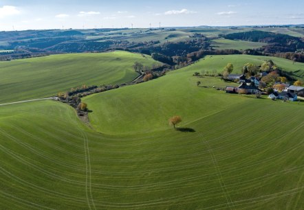 Blick auf den Komfort-Weg Ammeldingen bei Neuerburg, © Naturpark Südeifel/Philipp Köhler