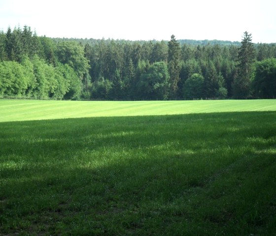 Herrliches Gr&uuml;n