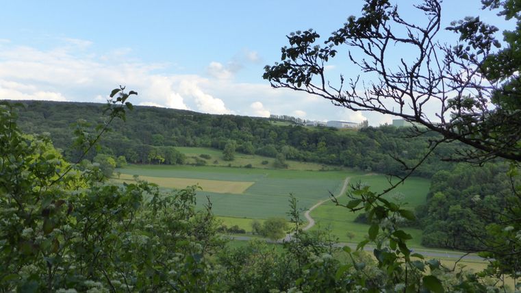 Blick von einem bewaldeten Hügel auf grüne Felder und Wälder unter blauem Himmel.