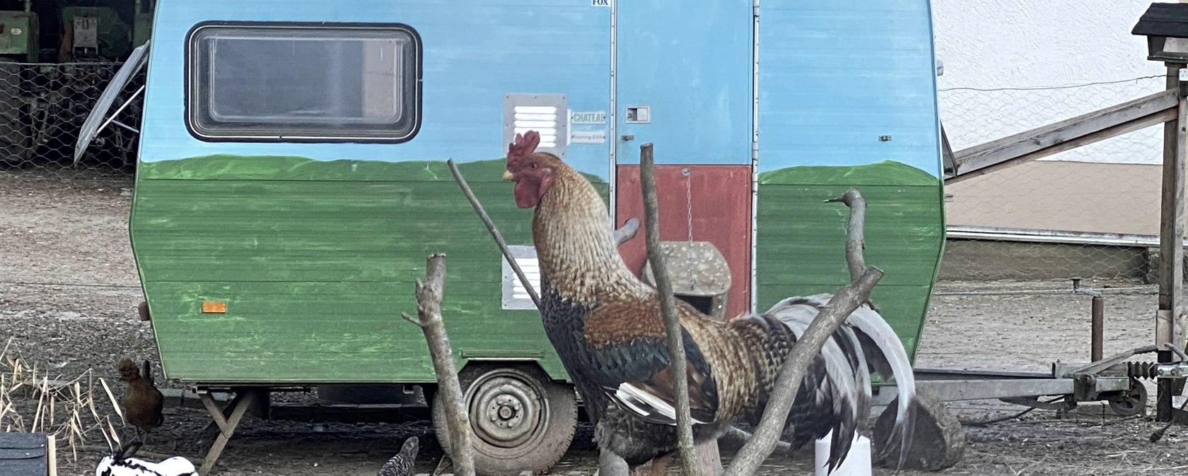 H&uuml;hner Campingplatz, &copy; Christians M&uuml;hle