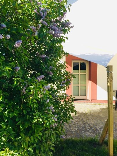 A beautiful garden with blooming shrubs and a arranged entrance. In the background, a bright building is visible.